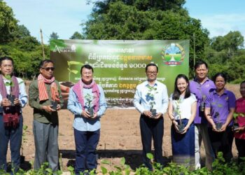 ក្រសួងកសិកម្មនាំយកដើមមនចំនួន ១ពាន់ដើម ជូនដល់សិប្បកម្មតម្បាញសូតនៅខេត្តសៀមរាប