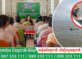 ឆ្មាំទន្លេមេគង្គ ក្នុងខេត្តក្រចេះ ចំនួន៤៤រូប បន្តដាក់វេនគ្នាការពារ និងទប់ស្កាត់បទល្មើសនេសាទនៅតំបន់ការពារ ២៤ម៉ោងលើ២៤ម៉ោង ជារៀងរាល់ថ្ងៃដើម្បីពង្រឹងវិធានការការពារ និងអភិរក្សសត្វ​ផ្សោតទន្លេមេគង្គ ឲ្យកាន់តែមានប្រសិទ្ធភាពខ្ពស់បន្ថែមទៀត