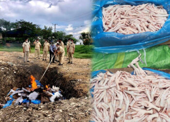 ដុតកម្ទេចជើងមាន់បង្កក ២ តោន នាំចូលពីបរទេស