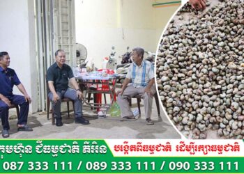 ឯកឧត្តម គី ច័ន្ទរំដួល អនុរដ្ឋលេខាធិការក្រសួងកសិកម្មអញ្ជើញចុះពិនិត្យ និងពិគ្រោះយោបល់ ដើម្បីផ្សព្វផ្សាយពីការបង្កើតសហគមន៍កសិកម្មទំនើបដំណាំស្វាយចន្ទី តាមឃ្លាំងប្រមូលទិញគ្រាប់ស្វាយចន្ទី នៅខេត្តប៉ៃលិន