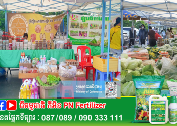 ផ្សារផលិតផលខ្មែរខេត្តកណ្ដាល បាននិងកំពុងដំណើរការលក់កសិផល ផលិតផលខ្មែរក្នុងស្រុក បន្លែសុវត្ថិភាព ផ្លែឈើ សាច់សត្វ អង្ករ អាហារកែច្នៃនានា