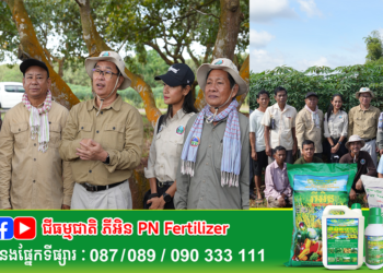 ឯកឧត្តមរដ្ឋលេខាធិការ តូច ប៊ុនហួរ អញ្ជើញដឹកនាំក្រុមការងារជំនាញ ពិនិត្យផលិតកម្មដំណាំស្វាយចន្ទី និងដំណាំដំឡូងមី នៅឃុំស្វាយទាប ស្រុកចំការលើ ខេត្តកំពង់ចាម