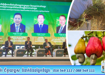 ផលិតផលសក្តានុពលកម្ពុជាចំនួន២០ ត្រូវបានចុះបញ្ជីជាផលិតផលអត្តសញ្ញាណជាតិ