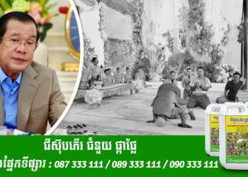 សម្តេចតេជោហ៊ុនសែន ! សូមបងប្អូនខ្មែរឥស្លាមស្វែងយល់ឱ្យបានច្បាស់ទាក់ទងដល់វិធីបុកល័ក្ដក្នុង ពិធីអាពាហ៍ពិពាហ៍ខ្មែរដែលទាក់ទងដល់បងប្អូនខ្មែរឥស្លាម។