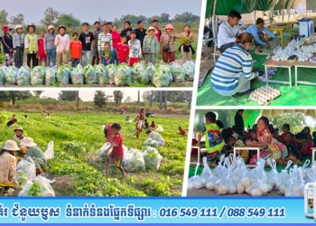 ក្រុមការងារ​មន្ទីរ​កសិកម្ម​ រុក្ខាប្រមាញ់​ និង​នេសាទ​ខេត្ត​ឧត្តរមានជ័យ​ បានបន្តដឹកនាំជនភៀសសឹកក្នុងមណ្ឌលសុវត្ថិភាពធ្វេីការប្រមូលផលបន្លែ