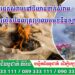 ការដុតសំរាមនៅទីលានចាក់សំរាម ជាបទល្មើសដែលត្រូវប្រឈមមុខនឹងច្បាប់
