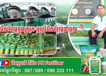 តើគួរប្រើជីសរីរាង្គក្នុង ស្រុក ឬប្រើជីសរីរាង្គនាំចូល?