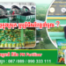 តើគួរប្រើជីសរីរាង្គក្នុង ស្រុក ឬប្រើជីសរីរាង្គនាំចូល?