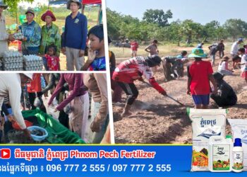 មន្ទីរកសិកម្ម រុក្ខាប្រមាញ់ និងនេសាទខេត្តឧត្តរមានជ័យបានបន្តប្រមូលផលស្បៀងជូនដល់កងកម្លាំងការពារព្រំដែន