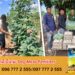 ក្រុមការងារមន្ទីរកសិកម្ម រុក្ខាប្រមាញ់ និងនេសាទខេត្តឧត្តរមានជ័យ នៅតែបន្តប្រមូលស្បៀងជូនដល់កងកំលាំងការពារព្រំដែន