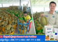សមិទ្ធផលថ្មី ការនាំចេញទុរេនស្រស់កម្ពុជាទៅកាន់ទីផ្សារប្រទេសចិនបន្តកើនឡើងជាលំដាប់