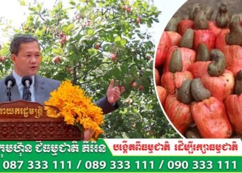 សម្ដេច ហ៊ុន ម៉ាណែត នាយករដ្ឋមន្រ្តីកម្ពុជា បានជំរុញឱ្យក្រសួង និងស្ថាប័នពាក់ព័ន្ធទាំងអស់ ខ្នះខ្នែងចុះបញ្ជីកម្មសិទ្ធិបញ្ញាលើពូជ និងផលិតផលសក្ដានុពលរបស់ជាតិ ជាពិសេសដំណាំ «ស្វាយចន្ទី»