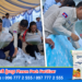 កូនត្រី និងកូនក្តាមសេះ ប្រមាណ៦ម៉ឺនក្បាល បានលែងចូលក្នុងដែនសមុទ្រខេត្តព្រះសីហនុ ដើម្បីបង្កើនធនធានជលផលសមុទ្រ