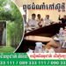វិទ្យាស្ថានស្រាវជ្រាវកៅស៊ូកម្ពុជា នៃបណ្ឌិត្យសភាវិទ្យាសាស្ត្រកសិកម្មកម្ពុជា បានបង្ហាញពីលទ្ធផលពូជដំណាំកៅស៊ូថ្មី ដែលវិទ្យាស្ថានបានស្រាវជ្រាវអស់រយះពេល១៥ឆ្នាំ